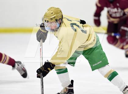 Thumbnail 1 in Iona Prep vs. Notre Dame-West Haven (Carrano Cup Quarterfinal) photogallery.