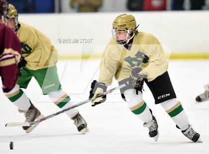 Thumbnail 3 in Iona Prep vs. Notre Dame-West Haven (Carrano Cup Quarterfinal) photogallery.