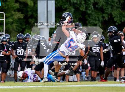 Thumbnail 1 in West Craven @ Havelock photogallery.