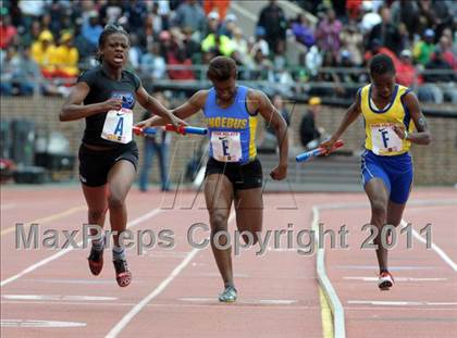 Thumbnail 2 in 117th Penn Relays (Saturday's Competition) photogallery.