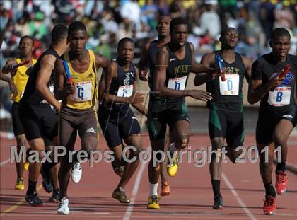 Thumbnail 3 in 117th Penn Relays (Saturday's Competition) photogallery.