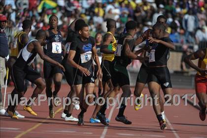 Thumbnail 1 in 117th Penn Relays (Saturday's Competition) photogallery.
