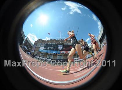 Thumbnail 3 in 117th Penn Relays (Saturday's Competition) photogallery.