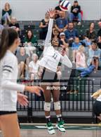 Photo from the gallery "Rocky Mountain @ Fossil Ridge"