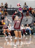 Photo from the gallery "Rocky Mountain @ Fossil Ridge"