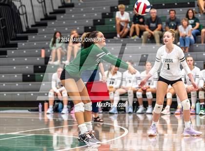 Thumbnail 3 in Rocky Mountain @ Fossil Ridge photogallery.