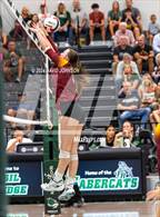 Photo from the gallery "Rocky Mountain @ Fossil Ridge"