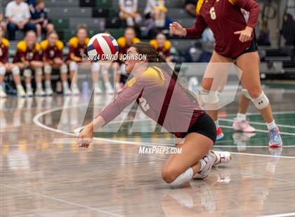 Thumbnail 3 in Rocky Mountain @ Fossil Ridge photogallery.