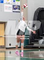 Photo from the gallery "Rocky Mountain @ Fossil Ridge"