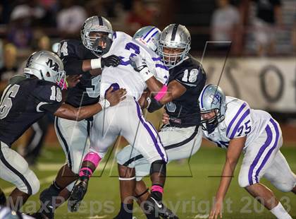 Thumbnail 3 in Paschal @ Martin photogallery.