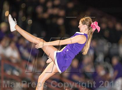 Thumbnail 3 in Paschal @ Martin photogallery.