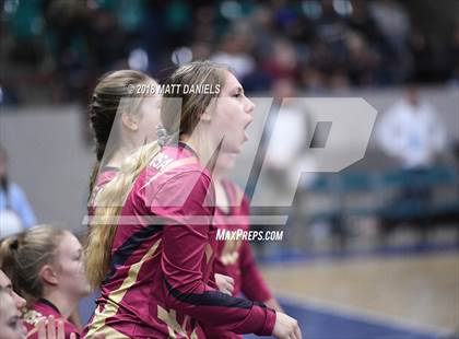 Thumbnail 2 in Ponderosa vs. Silver Creek (CHSAA 4A Playoff) photogallery.
