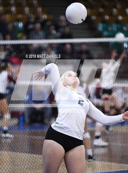 Thumbnail 3 in Ponderosa vs. Silver Creek (CHSAA 4A Playoff) photogallery.