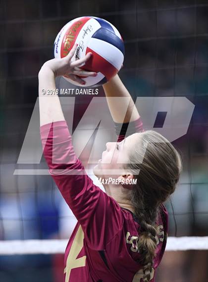 Thumbnail 1 in Ponderosa vs. Silver Creek (CHSAA 4A Playoff) photogallery.