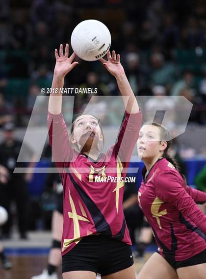 Thumbnail 1 in Ponderosa vs. Silver Creek (CHSAA 4A Playoff) photogallery.