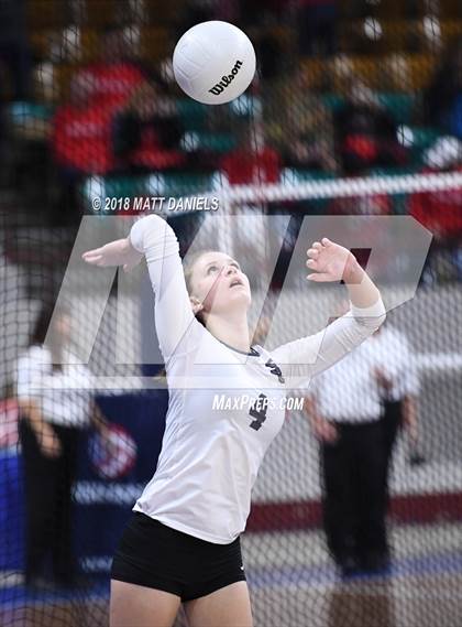 Thumbnail 1 in Ponderosa vs. Silver Creek (CHSAA 4A Playoff) photogallery.