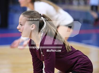 Thumbnail 1 in Ponderosa vs. Silver Creek (CHSAA 4A Playoff) photogallery.