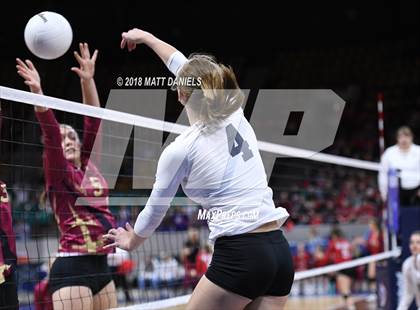 Thumbnail 3 in Ponderosa vs. Silver Creek (CHSAA 4A Playoff) photogallery.