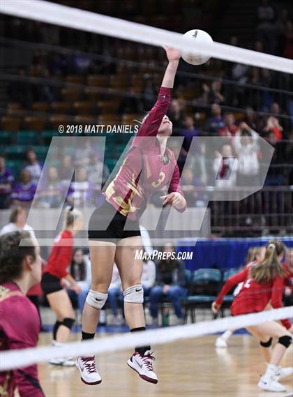 Thumbnail 1 in Ponderosa vs. Silver Creek (CHSAA 4A Playoff) photogallery.