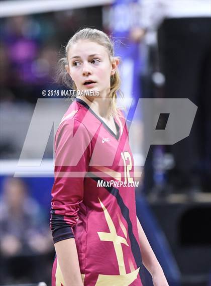 Thumbnail 3 in Ponderosa vs. Silver Creek (CHSAA 4A Playoff) photogallery.
