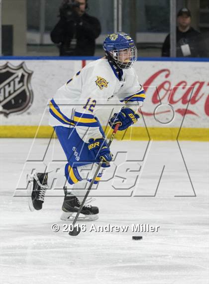 Thumbnail 1 in Mamaroneck vs. West Genesee (NYSPHSAA Division 1 Final) photogallery.