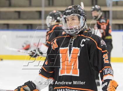 Thumbnail 1 in Mamaroneck vs. West Genesee (NYSPHSAA Division 1 Final) photogallery.