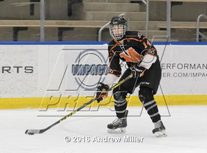 Thumbnail 3 in Mamaroneck vs. West Genesee (NYSPHSAA Division 1 Final) photogallery.