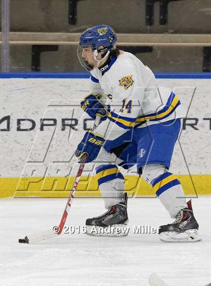 Thumbnail 2 in Mamaroneck vs. West Genesee (NYSPHSAA Division 1 Final) photogallery.