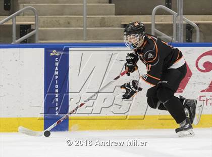 Thumbnail 3 in Mamaroneck vs. West Genesee (NYSPHSAA Division 1 Final) photogallery.