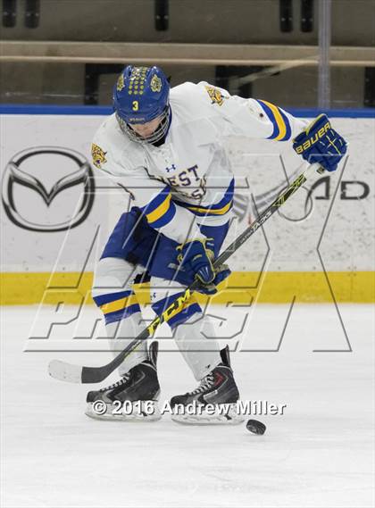 Thumbnail 2 in Mamaroneck vs. West Genesee (NYSPHSAA Division 1 Final) photogallery.
