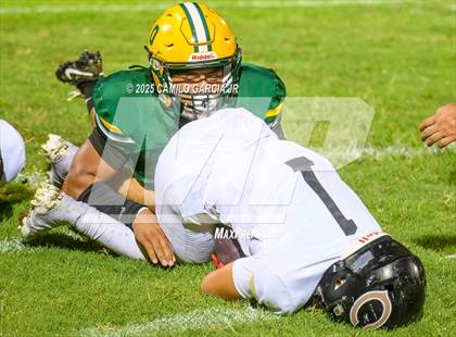 Thumbnail 1 in Cibola @ Holtville photogallery.