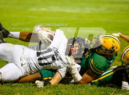 Thumbnail 1 in Cibola @ Holtville photogallery.