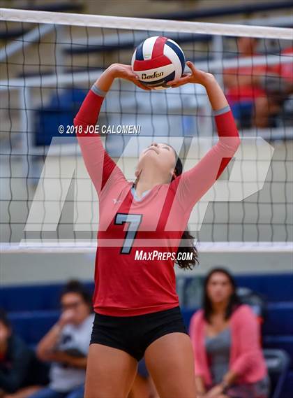 Thumbnail 2 in Roosevelt [Theodore] vs Stevens [John Paul] photogallery.