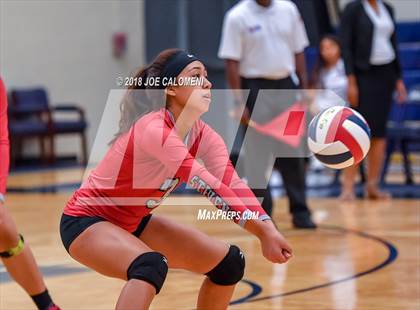 Thumbnail 3 in Roosevelt [Theodore] vs Stevens [John Paul] photogallery.