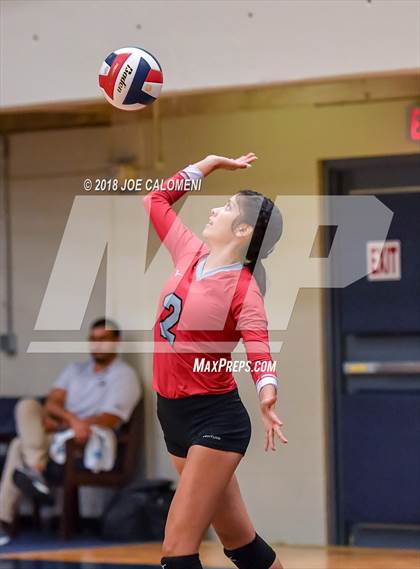 Thumbnail 1 in Roosevelt [Theodore] vs Stevens [John Paul] photogallery.