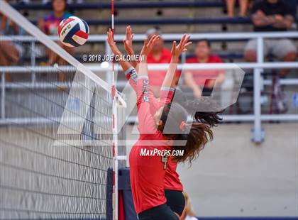 Thumbnail 3 in Roosevelt [Theodore] vs Stevens [John Paul] photogallery.