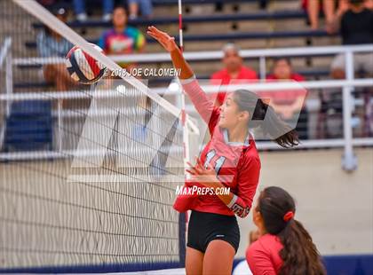 Thumbnail 3 in Roosevelt [Theodore] vs Stevens [John Paul] photogallery.