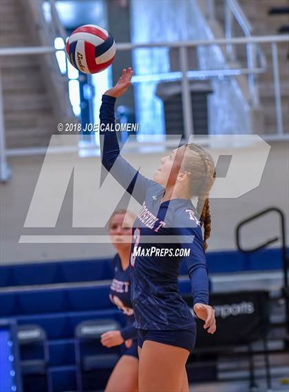 Thumbnail 2 in Roosevelt [Theodore] vs Stevens [John Paul] photogallery.