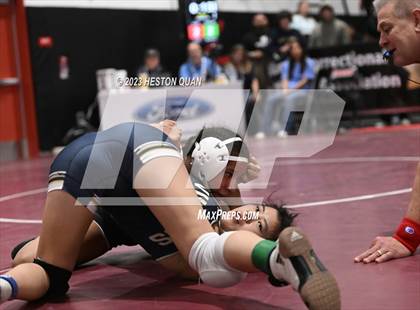 Thumbnail 1 in CIF-SS Girls Masters Wrestling 2/2 photogallery.