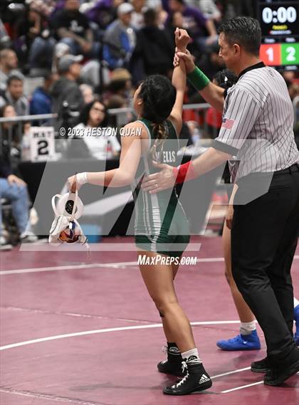 Thumbnail 1 in CIF-SS Girls Masters Wrestling 2/2 photogallery.