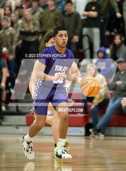 Thumbnail 1 in Tokay @ Lodi photogallery.