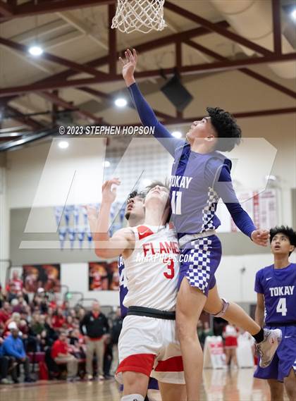 Thumbnail 2 in Tokay @ Lodi photogallery.