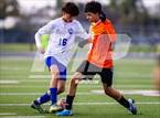 Photo from the gallery "Chino @ Chaffey"