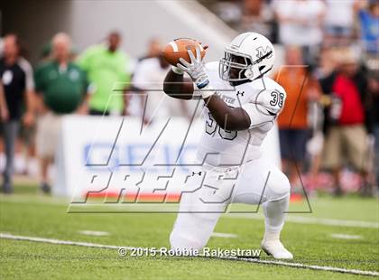 Thumbnail 3 in DeSoto vs. Martin photogallery.