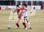 Photo from the gallery "Cactus Shadows vs. Arcadia (Desert Ridge Cactus Cup)"