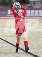 Photo from the gallery "Cactus Shadows vs. Arcadia (Desert Ridge Cactus Cup)"