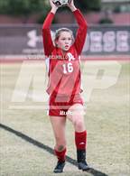 Photo from the gallery "Cactus Shadows vs. Arcadia (Desert Ridge Cactus Cup)"