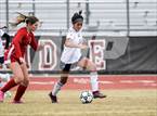 Photo from the gallery "Cactus Shadows vs. Arcadia (Desert Ridge Cactus Cup)"