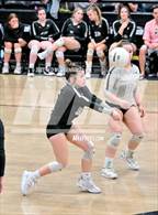 Photo from the gallery "Bauxite @ Camden Fairview"