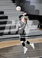Photo from the gallery "Bauxite @ Camden Fairview"